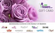 1-800-Flowers.com Logo