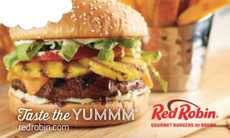 Red Robin Logo